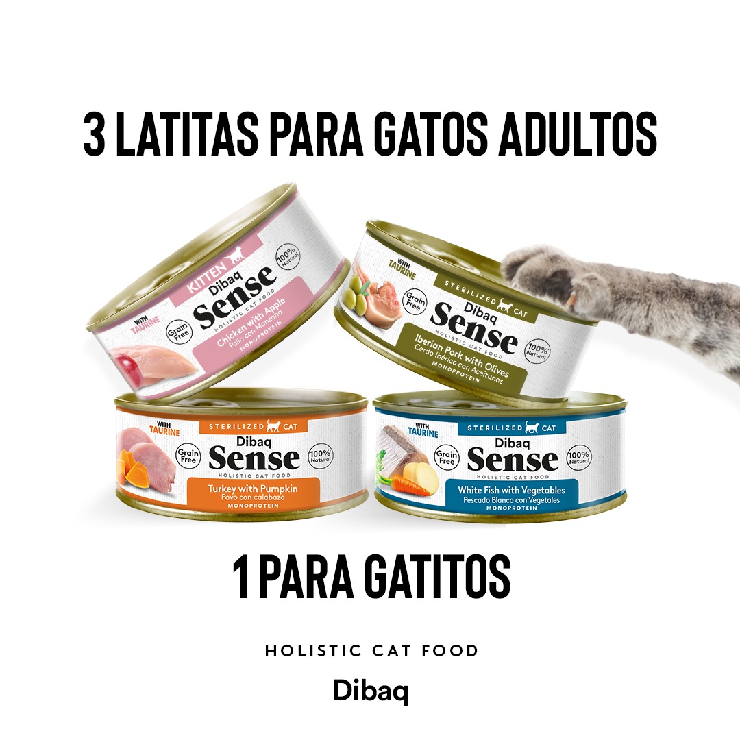 comida húmeda para gato